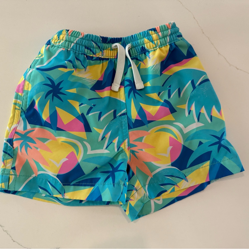 Chubbies swim trunks